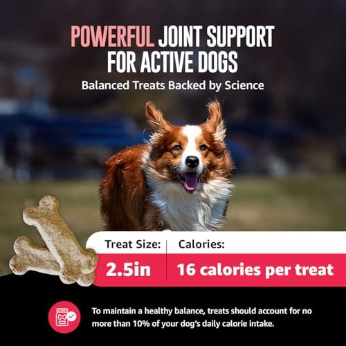 Old Dog Cookie Company Hip and Joint Support Dog Treats – All Natural Arthritis Relief | Dog Supplement for Small, Medium & Large Breeds, Hip and Joint Chews for Dogs | 10 oz