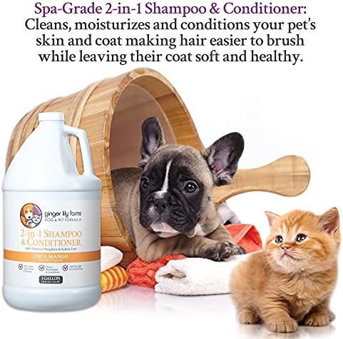 Ginger Lily Farms 1 gal Formula 2-in-1 Shampoo & Conditioner, Coco Mango
