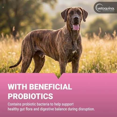 Vetoquinol Pro-Pectalin - Supports Digestive System & Stool Firmness for Dogs & Cats - Probiotic Supplement for Intestinal Support - for All Breeds 15cc