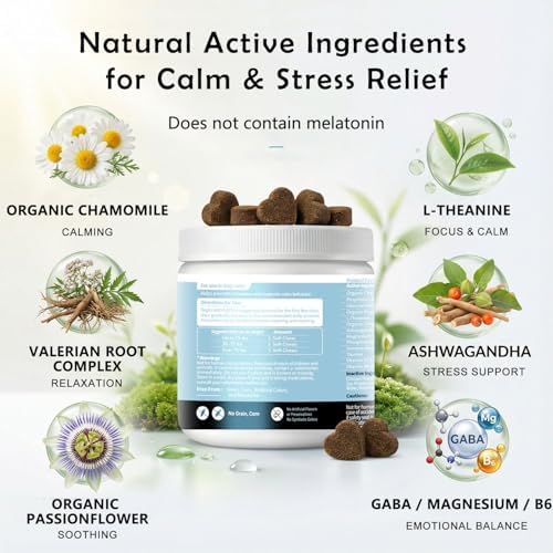 Calming Supplement for Dogs