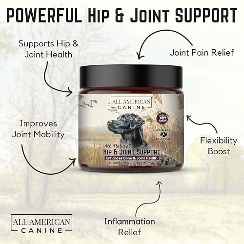 All American Canine Dog Hip & Joint Soft Chews, Glucosamine, 60 Count