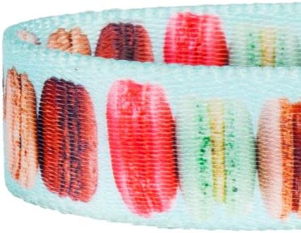 Blueberry Pet Essentials The Ultimate Macaroon Cake Adjustable Dog Collar, Medium, Neck 14.5"-20"