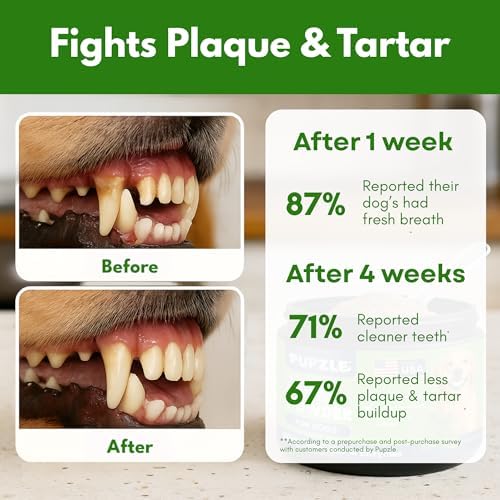 Pupzle Dog Teeth Cleaning Powder for Fresh Breath, Mint, 60 Days Supply