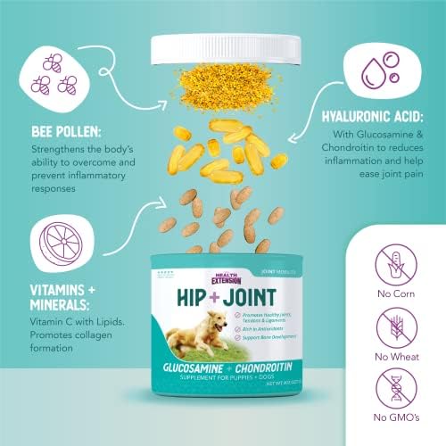 Health Extension Chondroitin with Glucosamine for Dogs, 8oz - Arthritis Pain Relief, Joint & Hip Supplement, Cheese Flavored Powder