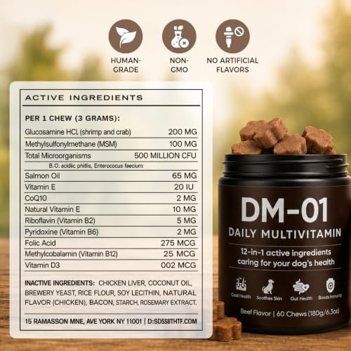 DM-01 Daily Multivitamin for Dogs - Advanced Hip & Joint Support, Boosts Immune System & Digestion, Promotes Skin, Coat & Organ System Health, Enhances Activity & Mood, 60 Chews (1)