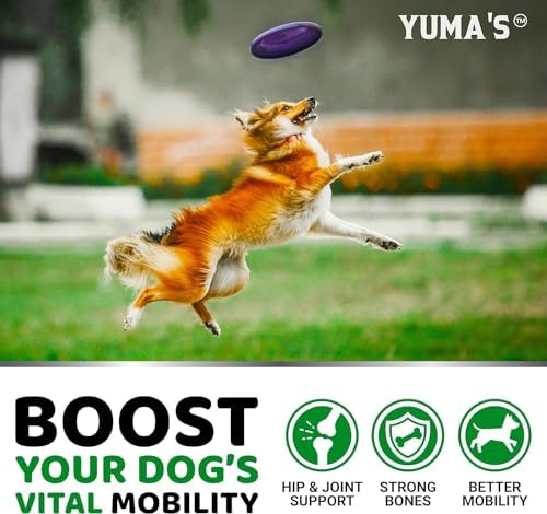 (2 Pack) Glucosamine for Dogs - 340 Ct - Hip and Joint Supplement for Dogs