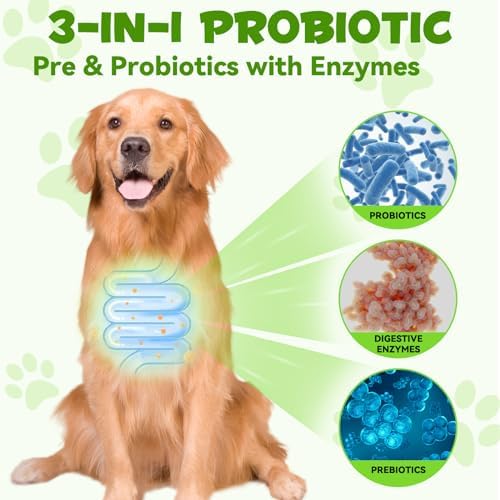 Probiotic for Dogs, 2 Pack Natural 3 in 1 Dog Probiotic Drops Helps to Diarrhea & Upset Stomach Relief, Supports Healthy Digestive System, Allergies, Digestive Enzyme for Dog, Bacon Flavor - 60ml x 2