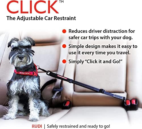 EzyDog Click Dog Seat Belt Car Restraint, 17-26in