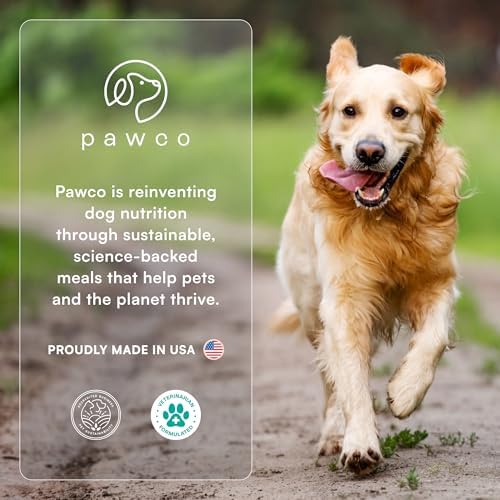 PawCo Magic Bar Healthy Functional Dog Treat – Soft, High-Protein Peanut Butter Bars with Pumpkin & Chicory Root, Supports Energy, Digestion & Overall Wellness – Pack of 8 (Hip & Joint)