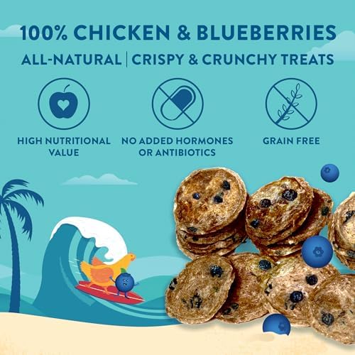 Chicken Blueberry Chips Dog Treats, 2-Ingredient, 7oz