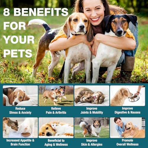 Pet Неmр Oil for Dogs and Cats 2 Packs