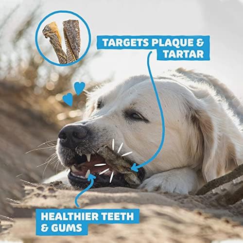SKIPPER'S Cod Fish Skins Twists Dog Chews - 100% Fish Skin Grain Free Treats for Dogs, High in Protein & Low in Fat, Essential Omega 3 Oils | Great for Teeth (Regular, 8.82 Oz)