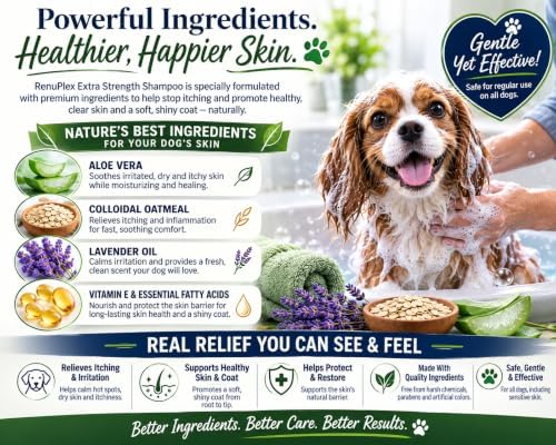 RenuPlex Extra Strength Dog Shampoo for Dogs with Mange-Related Skin and Coat Concerns, Itchy Skin and Hot Spots, with Oatmeal, Aloe, Zinc-PCA and Essential Oils, 12 Fl Oz. Made in the USA
