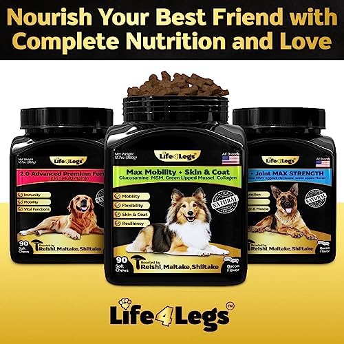 Hip and Joint Chews for Dogs + Skin and Coat Supplement - Dog Joint Pain Relief Treats - Glucosamine, Chondroitin, MSM, Hemp Oil, Turmeric, Omega 3 for Dogs, Mobility Dog Health Supplies