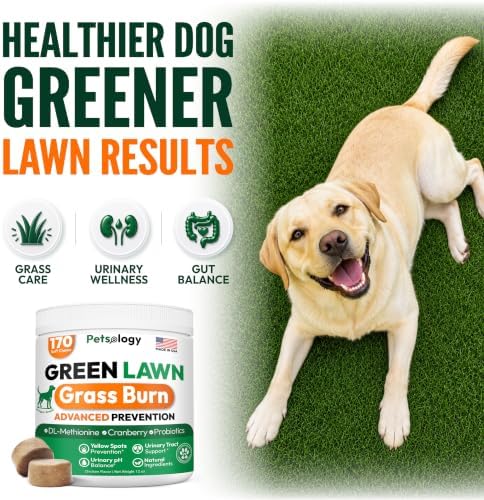 Dog Urine Neutralizer for Lawn - 170 Green Lawn Chews for Dogs - Gut Health