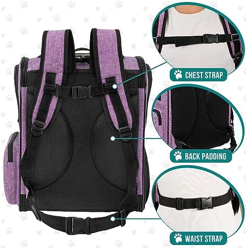 PetAmi Dog Backpack Carrier, 4-Way Entry Ventilated, 18 lbs, Purple