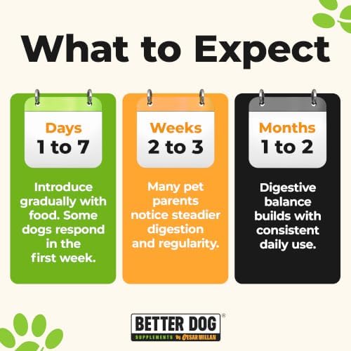 Better Dog Happy-Go-Lucky Belly Digestive Support Powder for Dogs, 4 oz