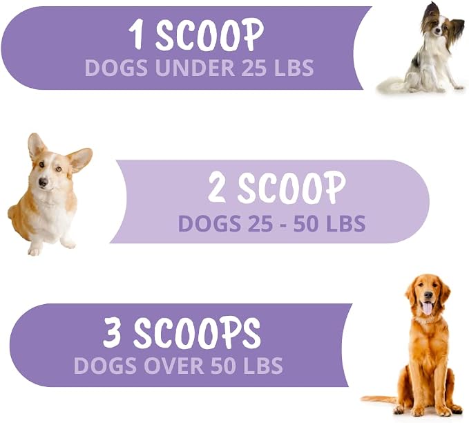 Under The Weather Calming Powder for Dogs