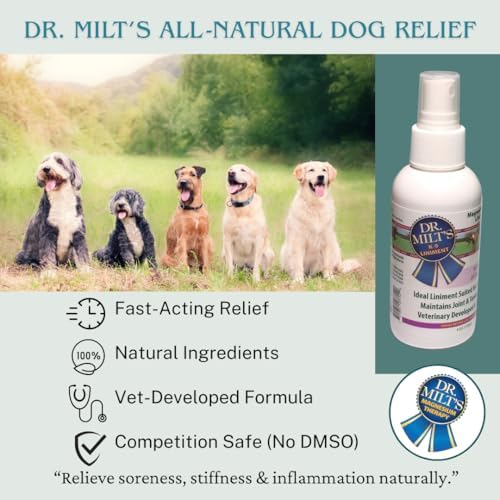 Dr. Milt's Dog Hip and Joint Pain Relief Spray and Gel, Topical Magnesium Sulfate & Arnica Ointment. Reduces Inflammation, Lessens Tenderness and Alleviates Nervousness. 2 Pack - 4oz Spray