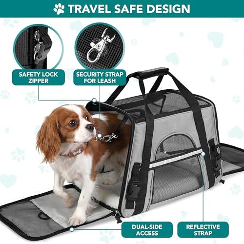 PetAmi Airline Approved Pet Carrier, Cats & Small Dogs, Large, Light Gray
