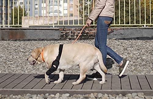 NeoAlly Dog Elbow Brace Protector Pads for Canine Elbow and Shoulder Support Elbow Hygroma, Dysplasia, Osteoarthritis, Elbow Calluses, Pressure Sores and Shoulder Dislocation (Right Leg, Extra Small)