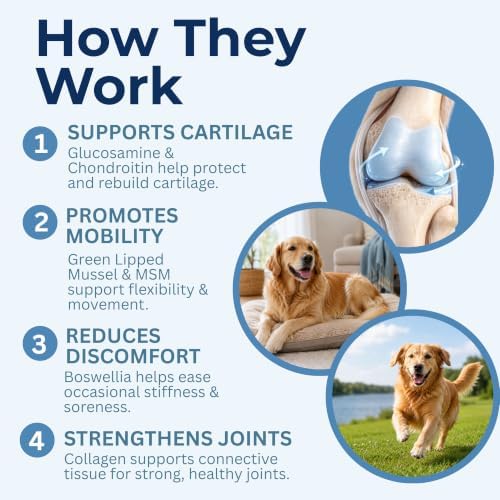 Hip and Joint Supplement for Dogs, 90 Mobility Chews, Bacon Flavor