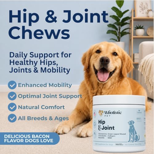 Hip and Joint Supplement for Dogs, 90 Mobility Chews, Bacon Flavor