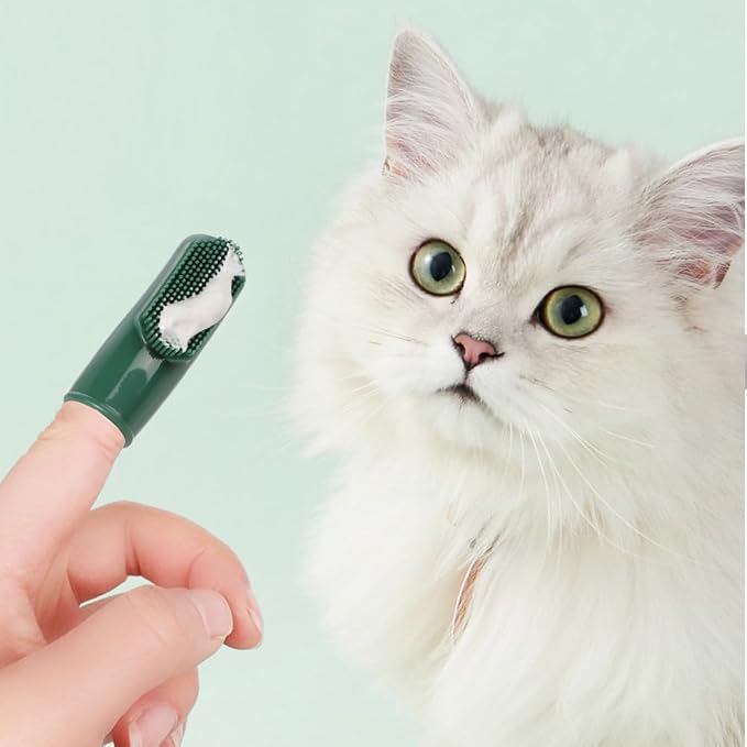 ITODA 3-Piece Dog Toothbrush Kit, 2 Pack Tooth Brushing Pet Cat Teeth Cleaning Oral Dental Care Fresh Breath Brush Set with Toothbrush Toothpaste Fingerbrush for Puppy Small Medium Dogs - Beef Flavor