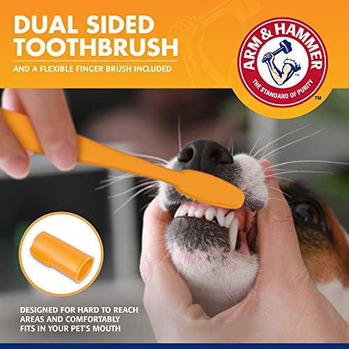 Arm & Hammer Tartar Control Dog Dental Kit, Beef Flavor, 3-Piece | Enzymatic toothpaste with toothbrush and fingerbrush, baking soda formula safe for puppies