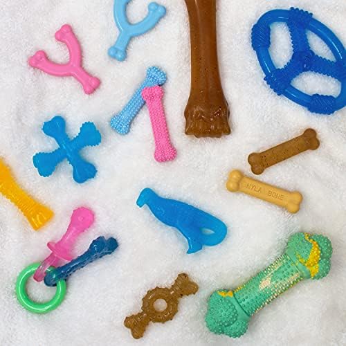 Nylabone Ring Bone Chew Toy for Puppies, Puppy Teething Toys, Puppy Enrichment Toys, Chicken Flavor, X-Small Dogs - Up to 15 lbs, 1 Count (Pack of 2)