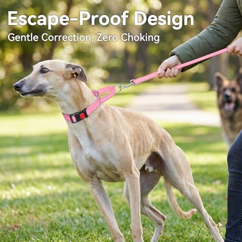 Joytale Martingale Collar for Dogs, Escape Proof No Pull, Pink, M