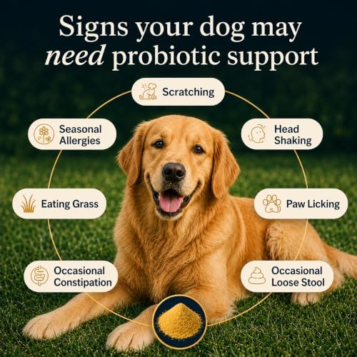 Zubest Probiotics for Dogs, Powder with Prebiotics, 4.2B CFU, 72 Servings