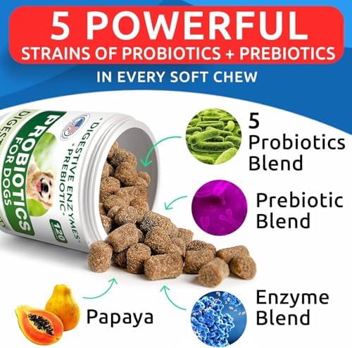BARK&SPARK Probiotics for Dogs - Digestive Health Supplement Chews