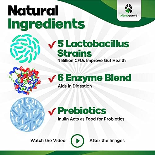 Dog Probiotics Chews 120 Ct, Digestive Enzymes, Prebiotics, Itchy Skin