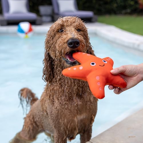 Fringe Studio Shelly Floating Dog Toy, Pet Shop Collection