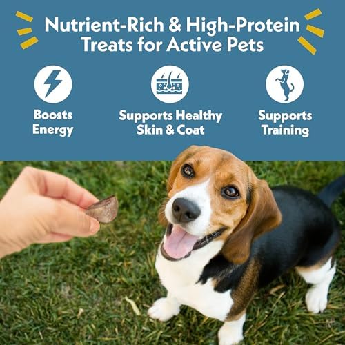Fresh Is Best Lamb Heart Bites Freeze Dried Dog Treats – Raw Freeze Dried Treats for Dogs & Cats in Resealable Zipper Bag – High-Protein Single Ingredient – Made in the USA