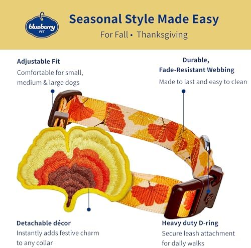 Blueberry Pet Thanksgiving Fall Ginkgo Biloba Leaf Adjustable Dog Collar with Detachable Accessory, Large, Neck 18"-26"