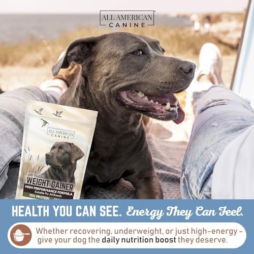 All American Canine Dog Weight Gainer Powder, High Calorie, 60 Servings