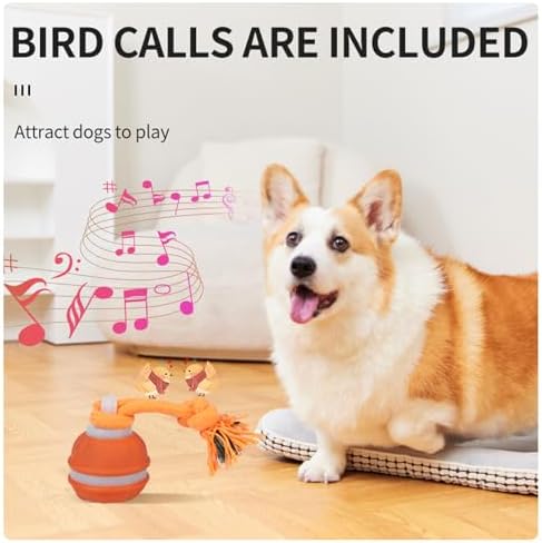 Interactive Dog Toys Dog Ball,Automatic Rolling and Bouncing Moving Dog Toy | 2PCS Squeaky Rolling Balls with Flashing Light,USB Rechargeable Chew Toys for Puppy Small Dogs Cat,Pet Ball to Keep Them Busy