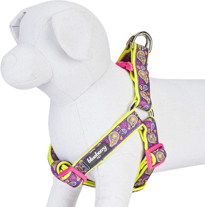 Blueberry Pet 5 Colors Soft & Comfy Step-in Paisley Flower Print Dog Harness, Chest Girth 20" - 26", Dark Orchid, Medium, Adjustable Harnesses for Dogs