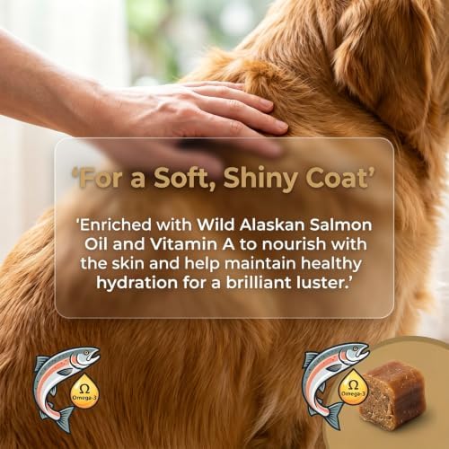 DM Daily Multivitamin for Dogs - Multivitamin Itch Relief Chews for Skin Coat, Gut & Immune Supports