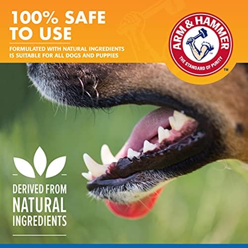 Combo Pack: Arm & Hammer Dog Dental Tartar Control Water Additive and Fresh Breath Vanilla Ginger Enzymatic Toothpaste