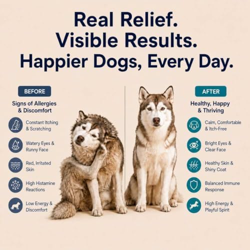 Dog Allergy Chews - 200ct Dog Allergy Relief for Itching Skin & Paw Licking - Allergy and Immune Chews for Dogs with Probiotics & Colostrum - Anti Itch Supplement for Seasonal Allergies, Salmon Flavor