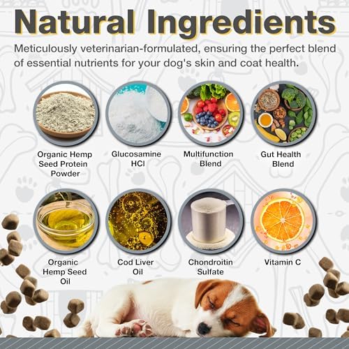 All Natural Multivitamin Soft Chews for Dogs 240ct | Glucosamine Chondroitin for Joint Support with Probiotics for Gut & Immune Health| Mobility and Advanced Wellness Support|4-Month Supply