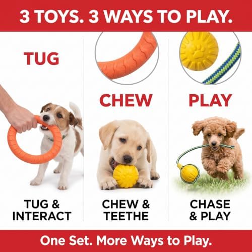 3-Piece Puppy Toys, EVA Chew Toy Set for Small Dogs | Quiet EVA chew toys with ball & tug ring for puppies and small dogs; designed for indoor and apartment play.