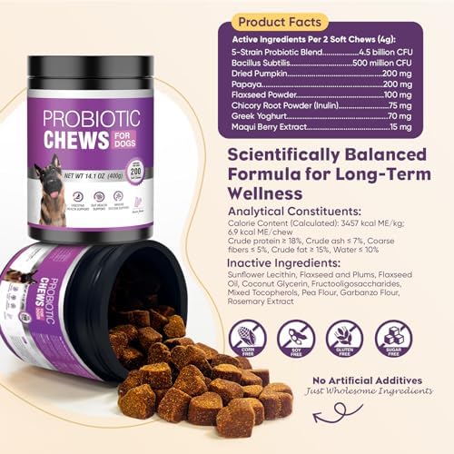 Probiotics for Dogs 200pcs Dog Probiotics for Digestive Health Bacon