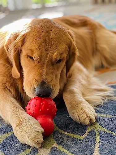 Nylabone Strong Chew Rubber Stuffable Cone Treat Toy, Bacon Flavor, Large | Durable rubber dog toys, long lasting, durable material, encourages healthy chewing, helps clean teeth, for dogs up to 50 lbs