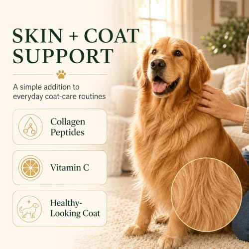 Happy Wags Premium Liquid Collagen for Dogs, Skin, Coat & Joint Wellness Support, Dog Supplement with Types I, II & III Collagen, Hyaluronic Acid & Vitamin C, 60 mL / 2 Fl Oz