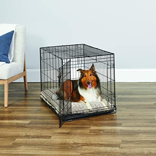 New World by Midwest 36-Inch Single Door Crate, M-L Breeds, 41-70 lbs