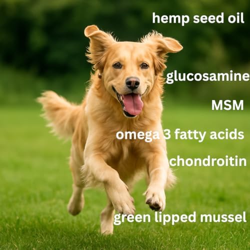 Dog Joint Supplement – Glucosamine, Hemp, MSM & Turmeric for Dogs – Hip & Joint Relief Soft Chews, 60-Count by Blogging Dog Products